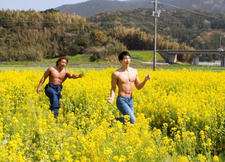 頭の中はこう（元投稿の写真）